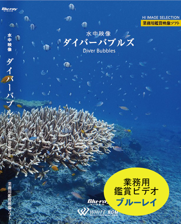 【ブルーレイ】業務用鑑賞映像「水中映像・ダイバーバブルズ・ハイビジョン」（40分）【♪モルディブ、セブ、沖縄】#AB-006