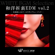 和洋折衷EDM vol.2 -和楽器によるワールドポップミュージック-(14曲)【♪ダンス/和風】#artist521 著作権フリー音楽BGM