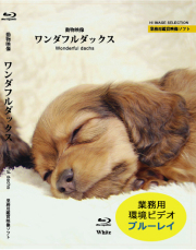 業務用鑑賞映像ソフト　犬ブルーレイ