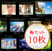 セット商品　梅セット(10枚）