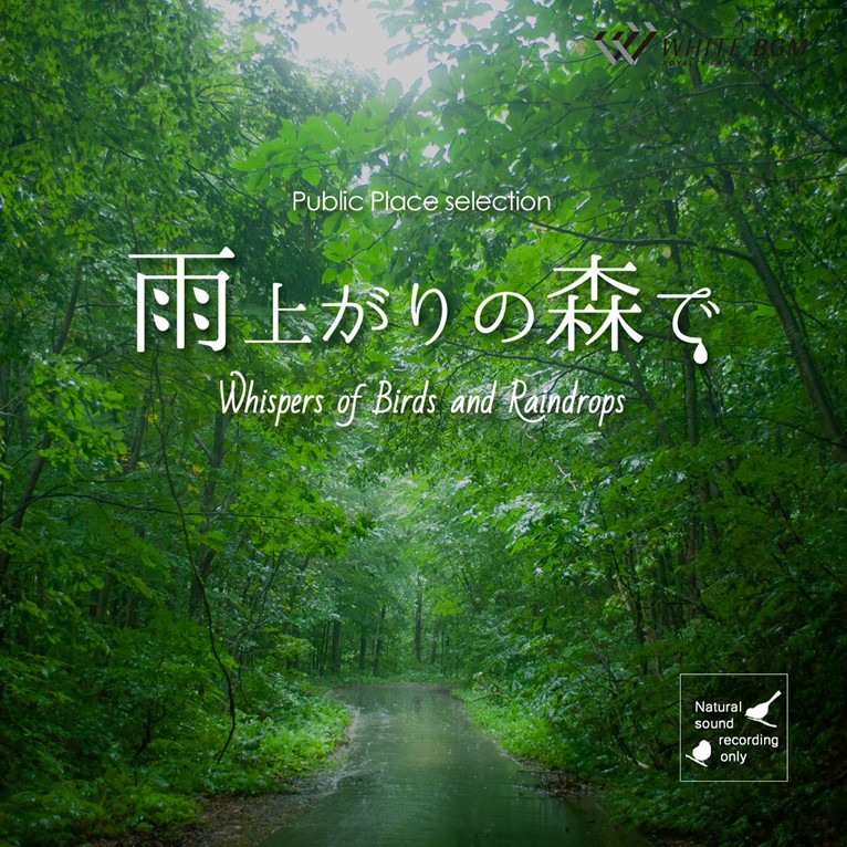 【商用利用可・空間演出・自然音】雨上がりの森で -Whispers of Birds and Raindrops-（4175）