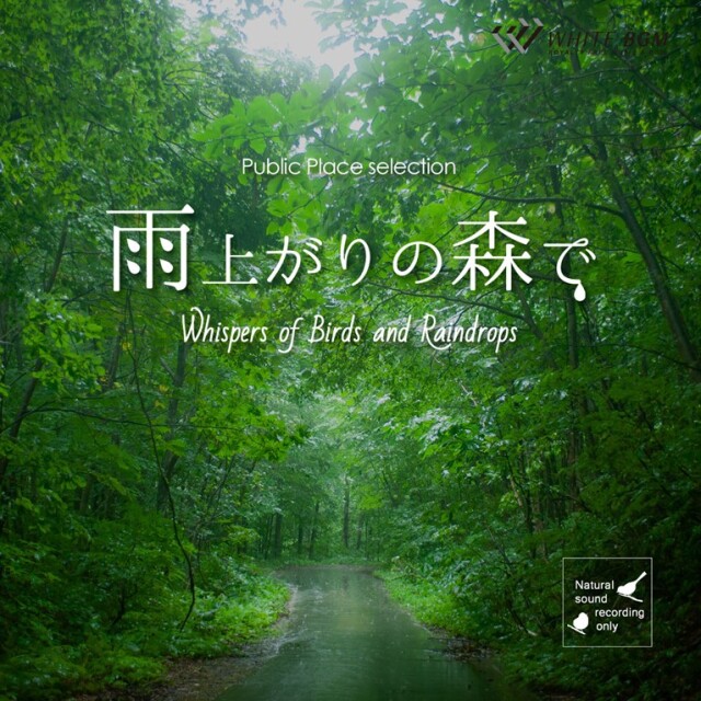 【商用利用可・空間演出・自然音】雨上がりの森で -Whispers of Birds and Raindrops-（4175）