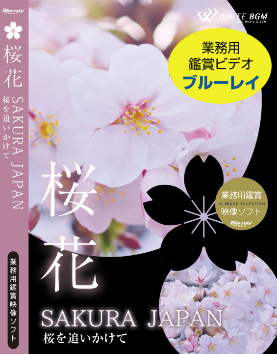 BGV_桜花