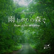 【商用利用可・空間演出・自然音】雨上がりの森で -Whispers of Birds and Raindrops-（4175）