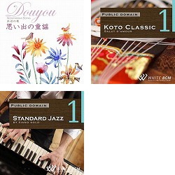 お寿司屋さんセットB