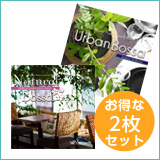 【ボサノバ2枚セットB】ナチュラルボサ/アーバンボサ(set50075)