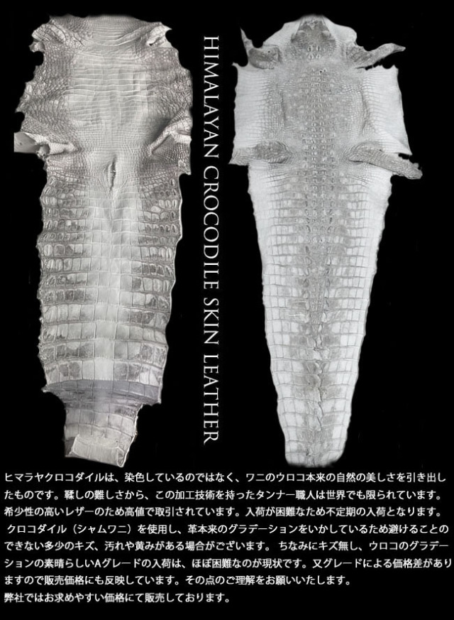 シャムネス レディース／メンズ ヒマラヤ クロコダイル 二つ折り