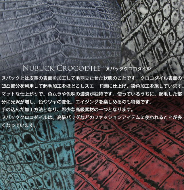 2023ヌバッククロコダイルシリーズについてのお話 | WILDSWANS