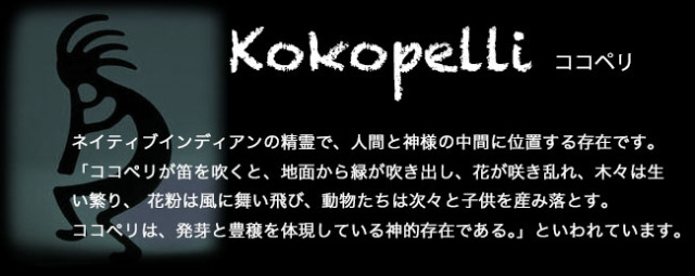 クリックポストのみ送料無料！ココペリ ピアス シルバー925