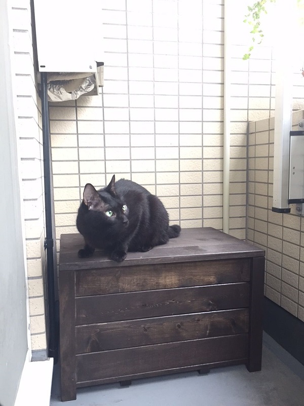 収納ボックス付きベンチ匠・ブラウン色/横幅90cm/完成品 天然木製