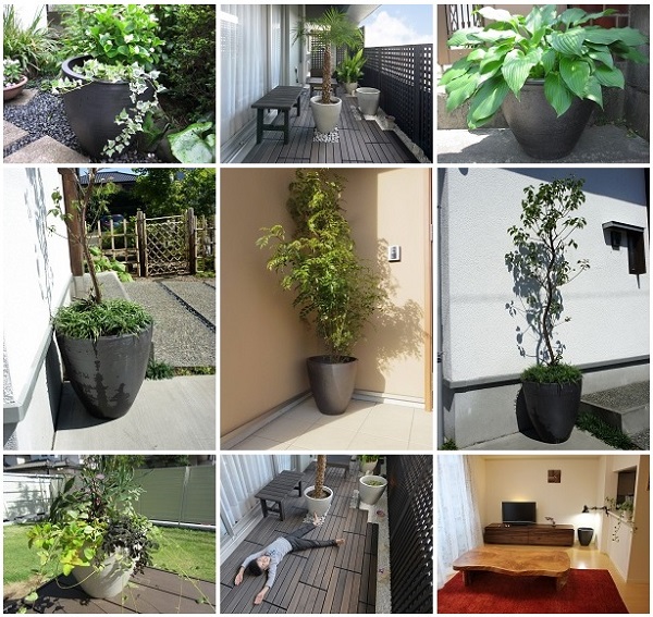 信楽焼 プランター 信楽焼 プランター 【公式通販】