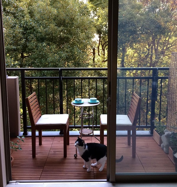 ベランダすのこ