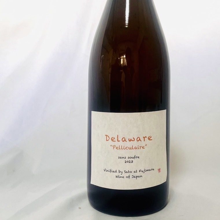 清澄白河フジマル醸造所／Delaware Pelliculaire by Sato （デラウェア ペリキュレール バイ サトウ） 2023年（オレンジ）