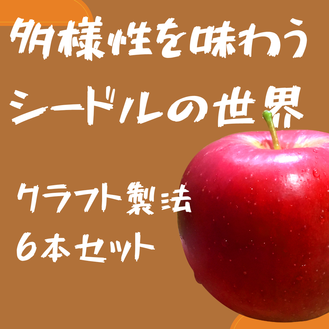 多様性を味わうシードルの世界｜クラフト製法6本セット（330ml瓶5本＋375ml1缶）