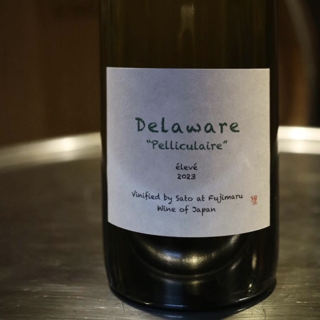 清澄白河フジマル醸造所／Delaware Pelliculaire élevé 2023年（デラウェア ペリキュレール バイ サトウ　エルヴェ） 2023年（オレンジ）
