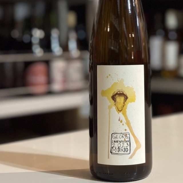 ゲオーグ リンゲンフェルダー　／　モリオ　2023年(白）