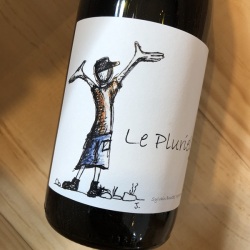 コスティエール・ド・ニーム・ルージュ・レ・プルリエル [2022] クロ・デ・ブート