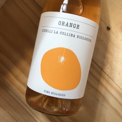 オレンジ N.V チレッリ