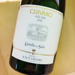 チェルヴァロ・デラ・サラ [2020]　アンティノリ