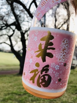 来福 純米 生原酒　さくら酵母 720ml