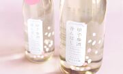 甲子　純米大吟醸生原酒　春酒香んばし 720ml