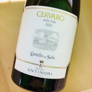 チェルヴァロ・デラ・サラ [2020]　アンティノリ