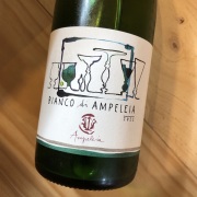 ビアンコ・ディ・アンペレイア [2022] フォラドーリ