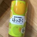 紀州の梅酒とはっさく
