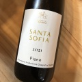 フィアーノ・サンタ・ソフィア [2021] カンティーナ・デル・タブルノ