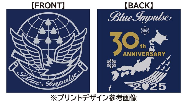 第11飛行隊 創設30周年記念 Ｔシャツ