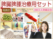脾臓　脾腫　治療用セット　脾臓の痛みに