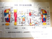 官足法　布製反射区図表　巨大サイズで軽量（A0サイズ以上・73ｇ）