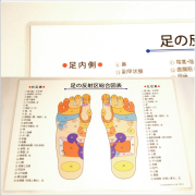新反射区図表　ラミネート版