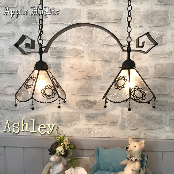 アシュリー2L 01