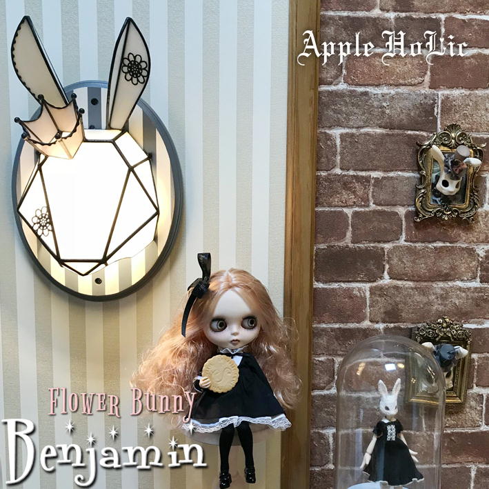 ベンジャミンB 01