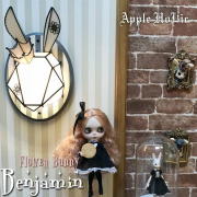 ベンジャミンB 01