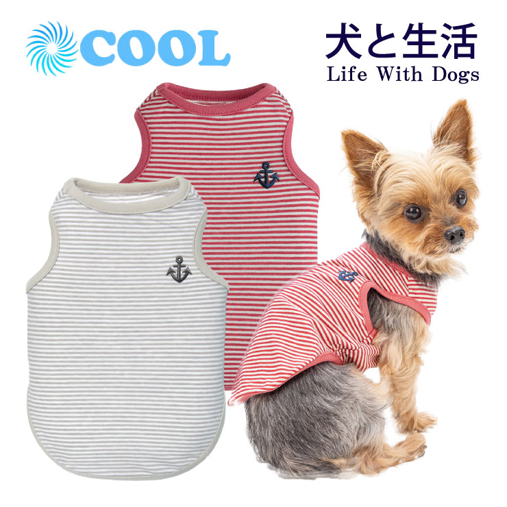 【ポイント20倍】コットンボーダークール　2026SS 1号 2号 3号 4号 5号 6号