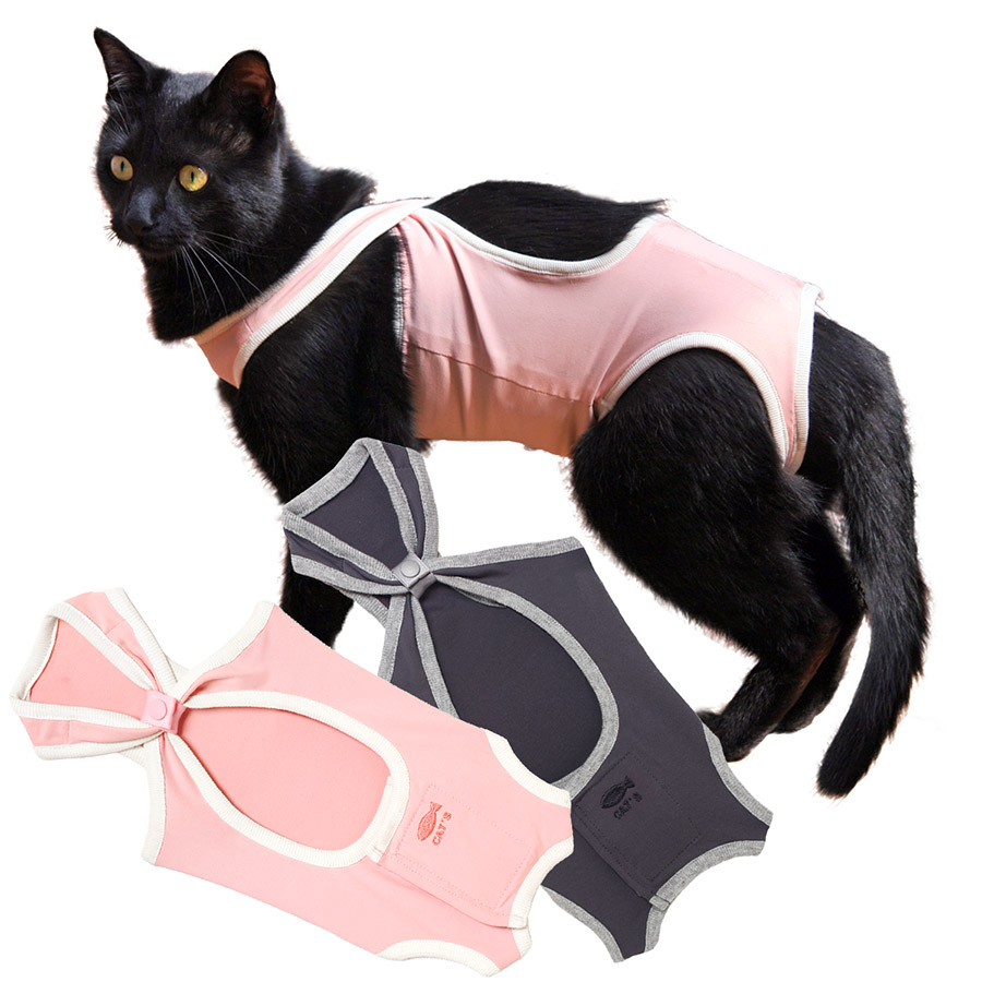 ネコの暮らし　術後ガードスーツキャット