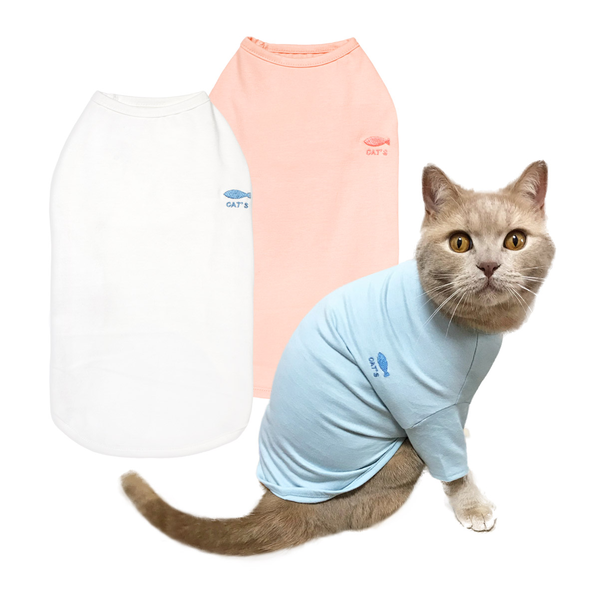 猫の暮らし　プレーンオーガニックTシャツ