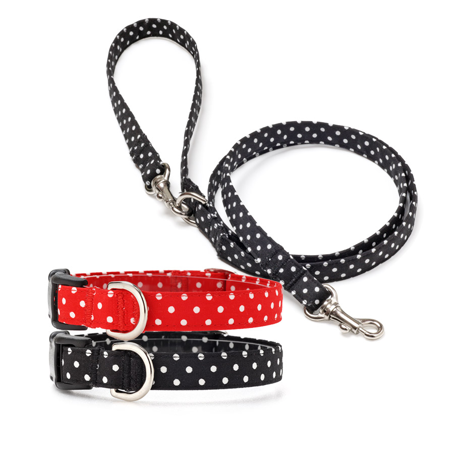 犬と生活　ドット