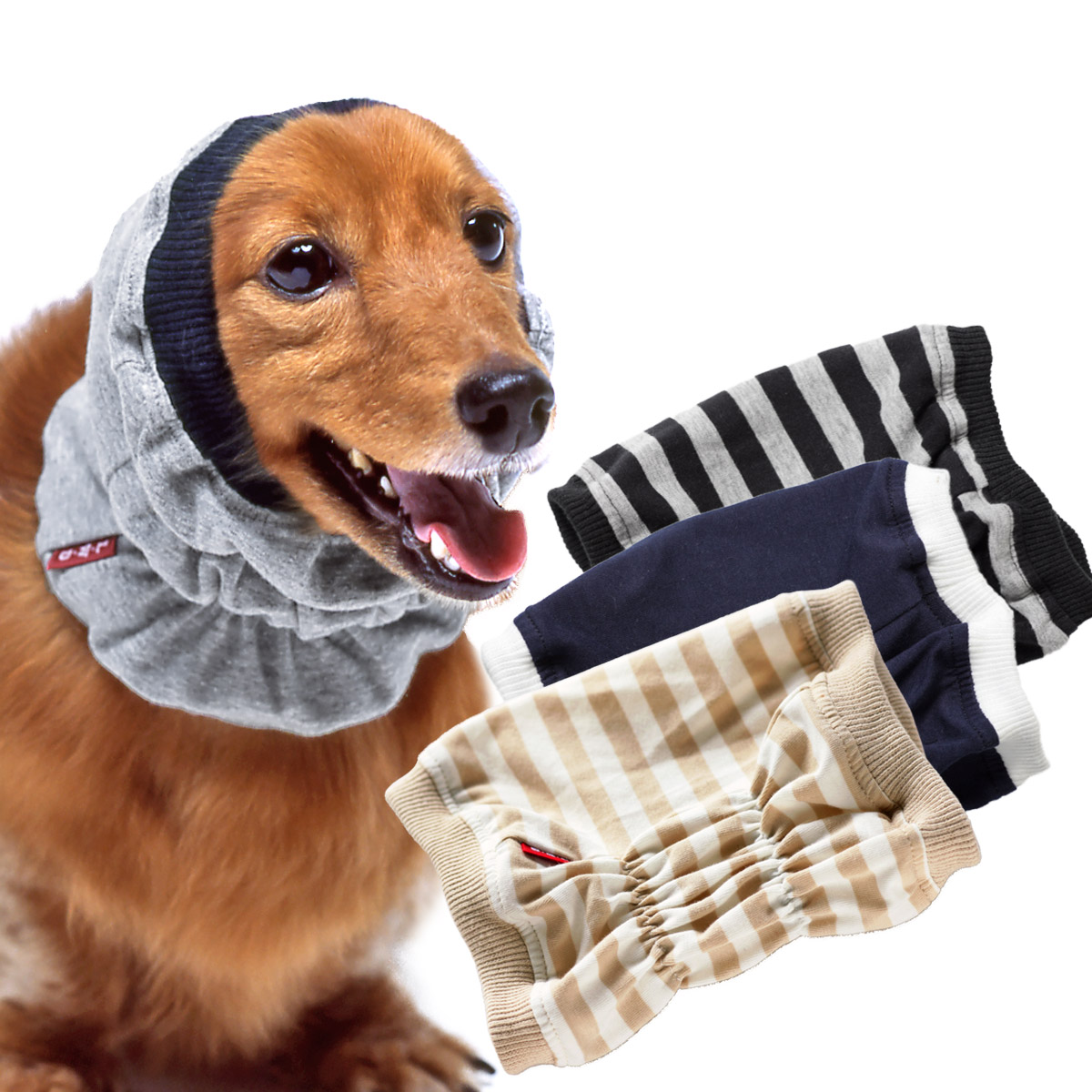 犬と生活　スヌード