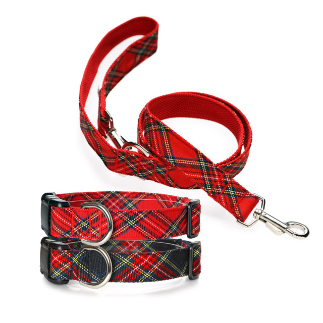 犬と生活　Lタータン