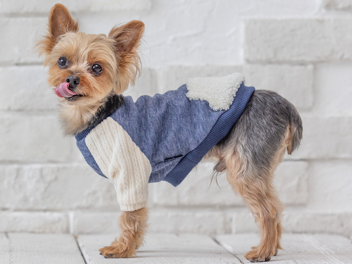 犬服・猫服のオリジナルブランド L.W.D. 犬と生活 猫の暮らし