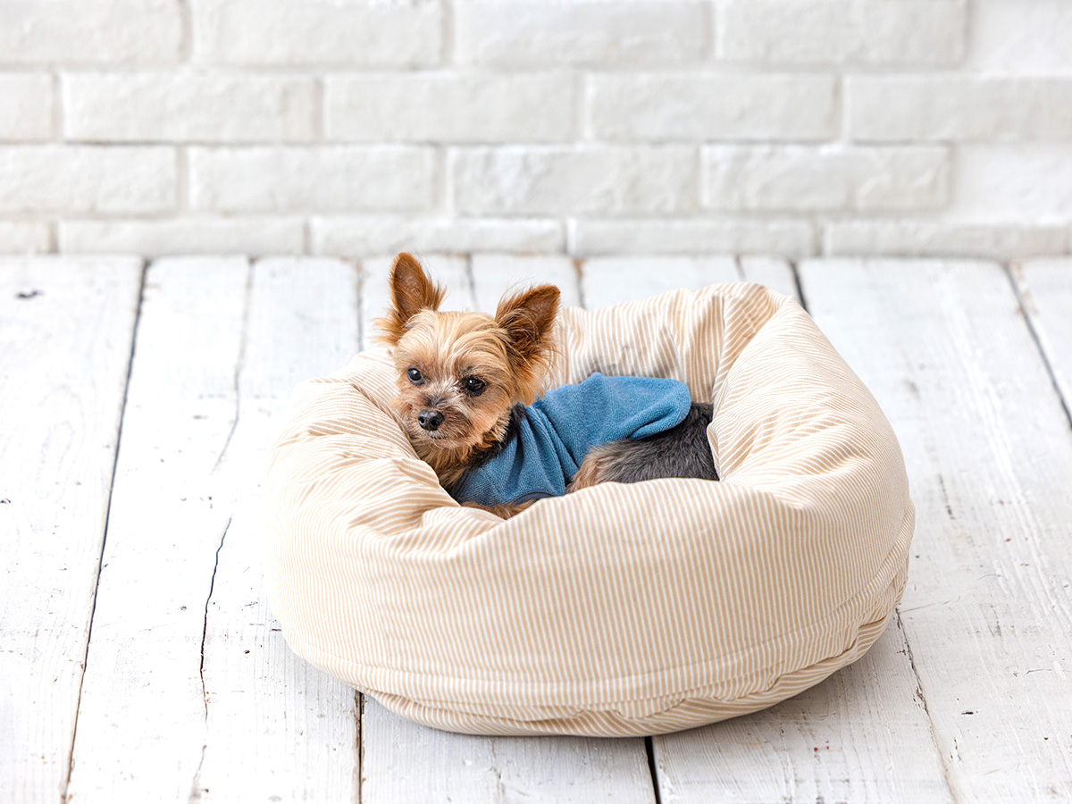 犬服・猫服のオリジナルブランド L.W.D. 犬と生活 猫の暮らし