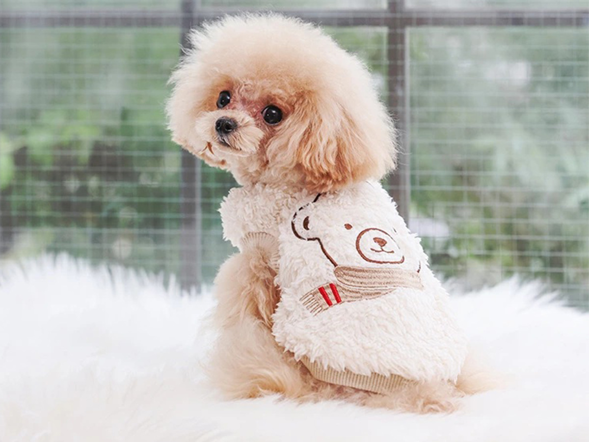 犬服・猫服のオリジナルブランド L.W.D. 犬と生活 猫の暮らし