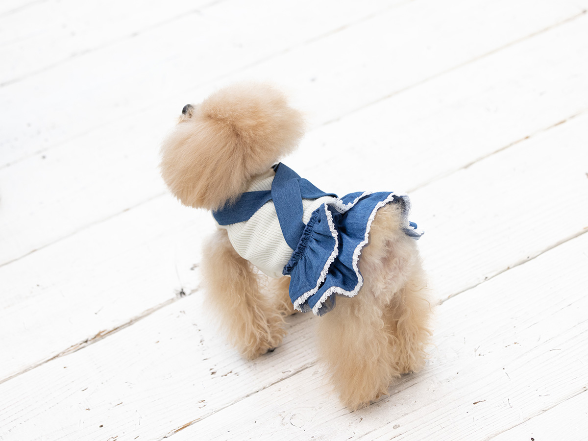 犬服・猫服のオリジナルブランド L.W.D. 犬と生活 猫の暮らし