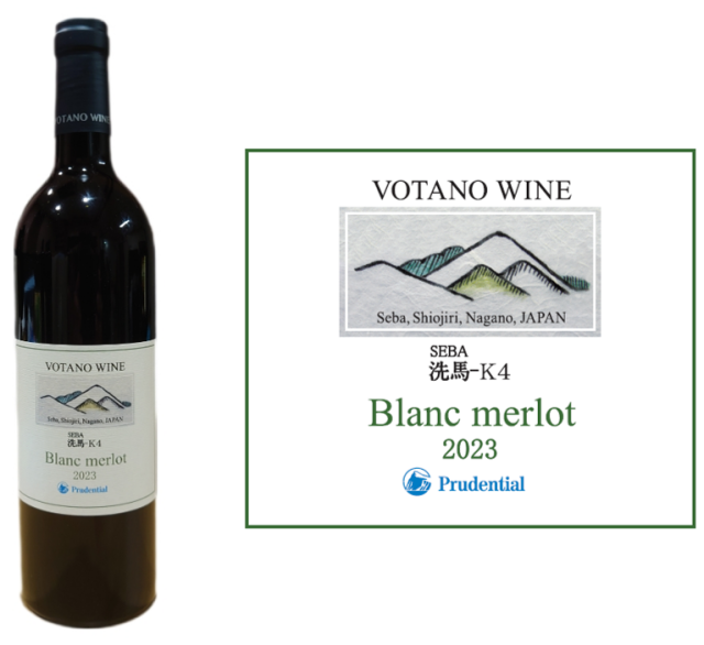 ブラン・メルロー（2023VT）