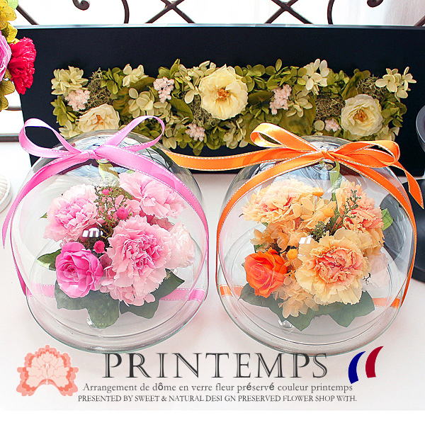 Printemps ：プランタン /グラデーションローズ＆フリルのカーネーション（プリザーブドフラワーガラスドーム アレンジ）【送料無料】
