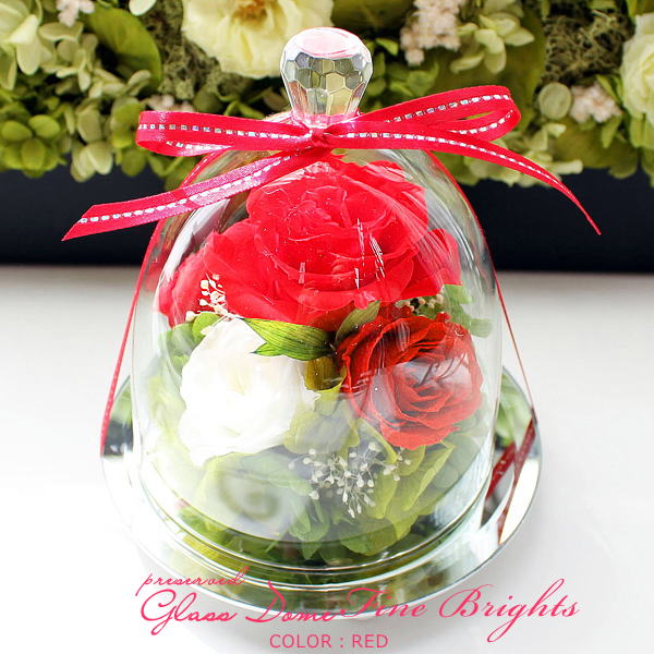 プリザーブドフラワーガラスドーム入りアレンジ Brights：ブライツ