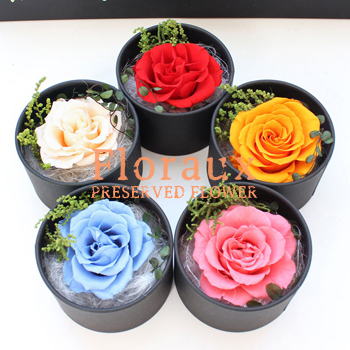 【☆K☆プロフ必読！です】ブリザードフラワーアレンジ＆リース ☆K☆プロフ必読！です】ブリザードフラワーアレンジ＆リース